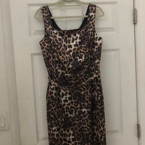 Chico’s size 2.5 cocktail dress-Leopard print